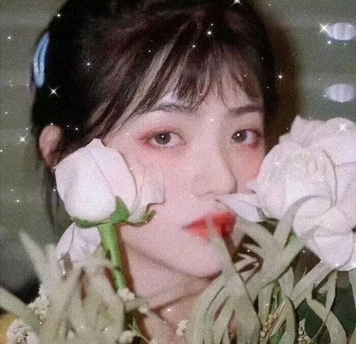 血染淑女
